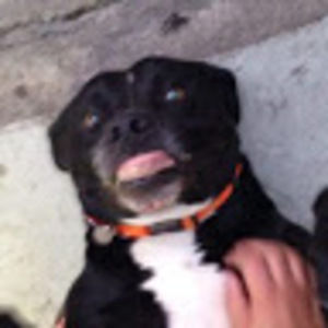 Meet your Posher, Philip scott